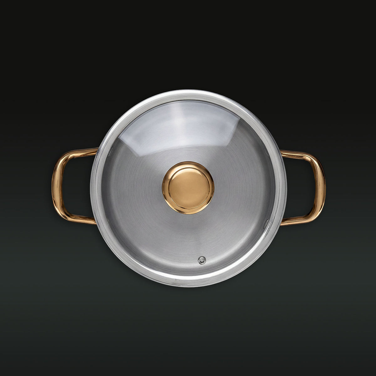 Taima® Pure Titanium Nutri Pot Pro